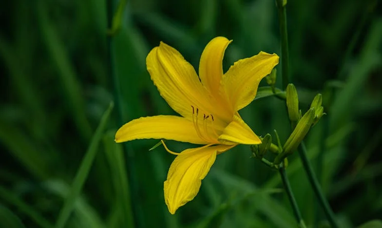 Jak modlitwa pomogła mi przetrwać małżeństwo, które mnie niszczyło: Moja historia o wierze, poświęceniu i nowym początku