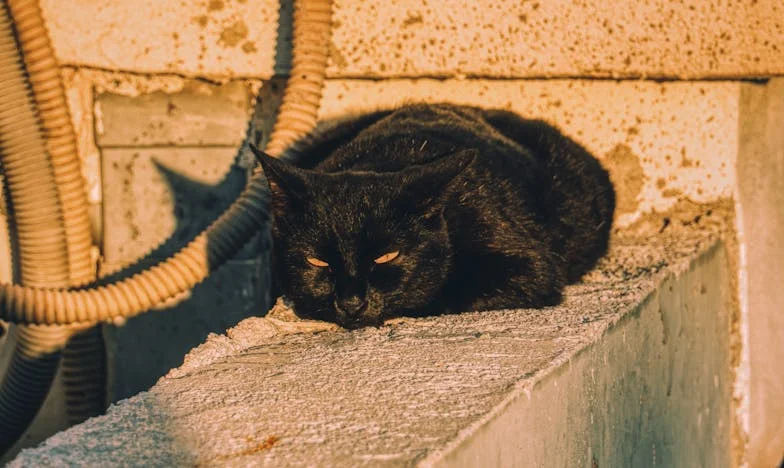 Kiedy cisza rozdziera małżeństwo: Moja walka o głos, zaufanie i miłość