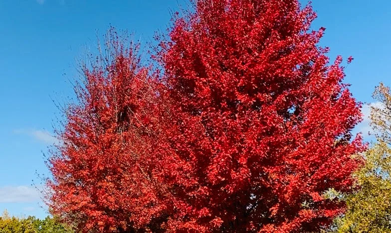 Kiedy dom przestaje być domem: Cisza, która rozdziera serce
