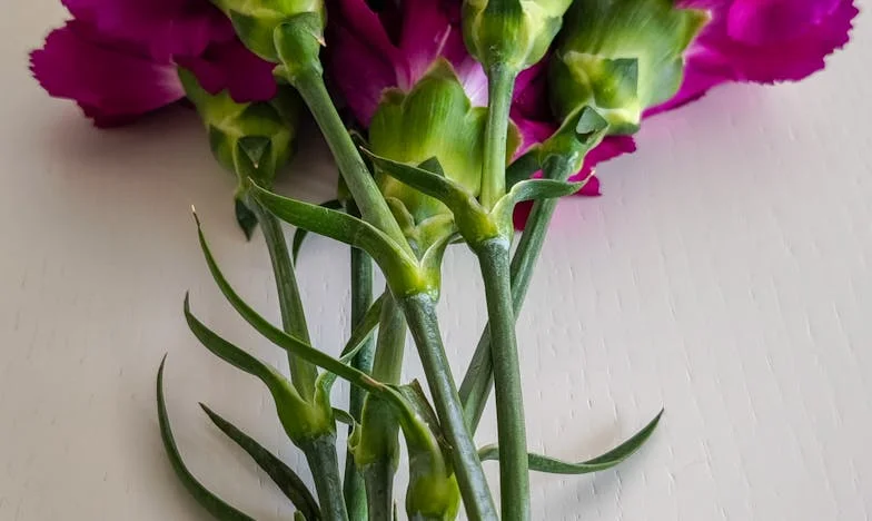 Między ciszą a krzykiem: Historia Joanny i Dariusza