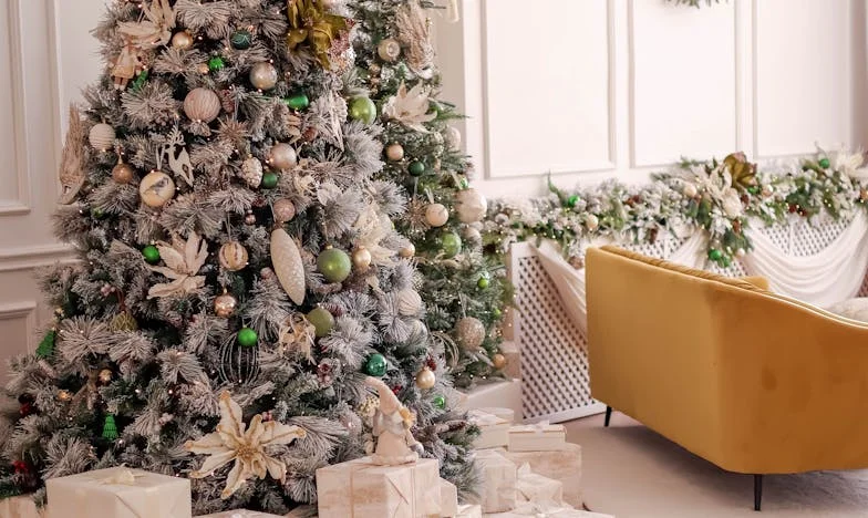 Mój brat zajął moje mieszkanie i uważa, że to w porządku – historia o rodzinie, zdradzie i walce o sprawiedliwość