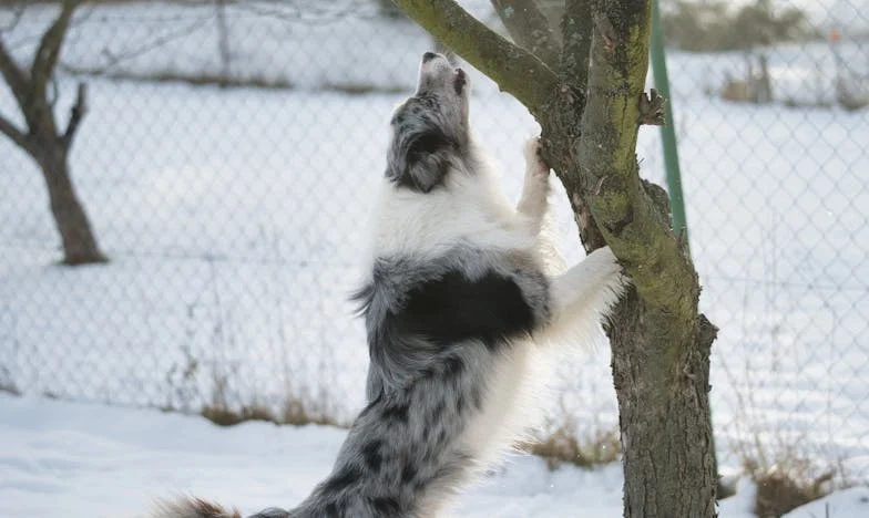 Obcy w moim domu: Powrót Marka do Bydgoszczy
