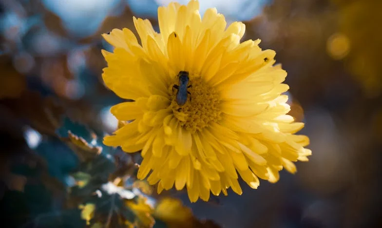Odeszłam od męża po 40 latach. Bo w końcu odważyłam się żyć po swojemu