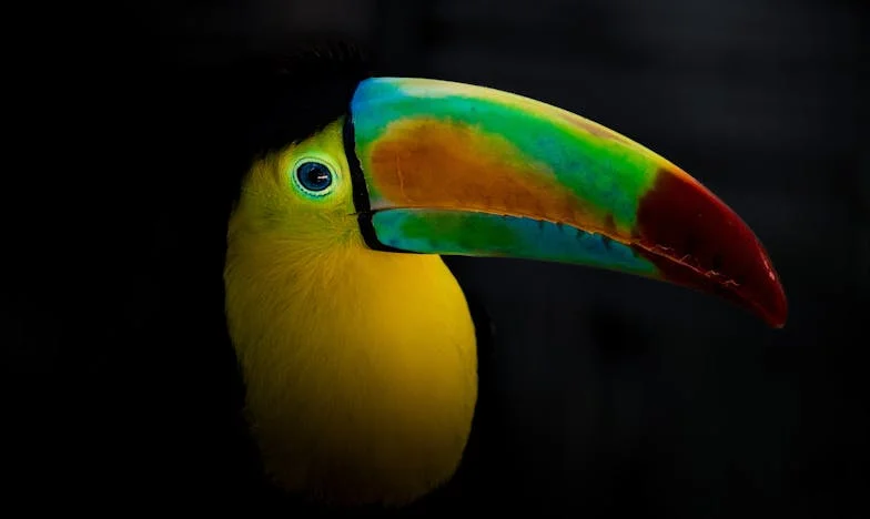 Odwaga odejścia: Historia Magdy z bloku na warszawskim Ursynowie