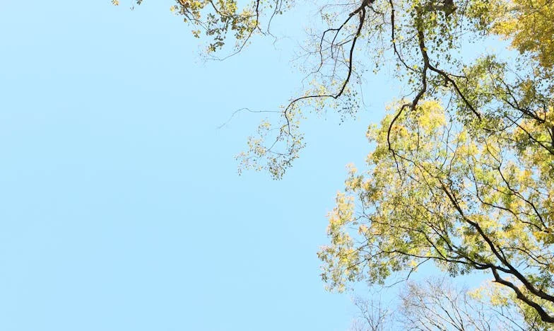 Parapetówka, która zmieniła wszystko: Kuchnia jak po eksplozji i tajemnice, których nie chciałem znać