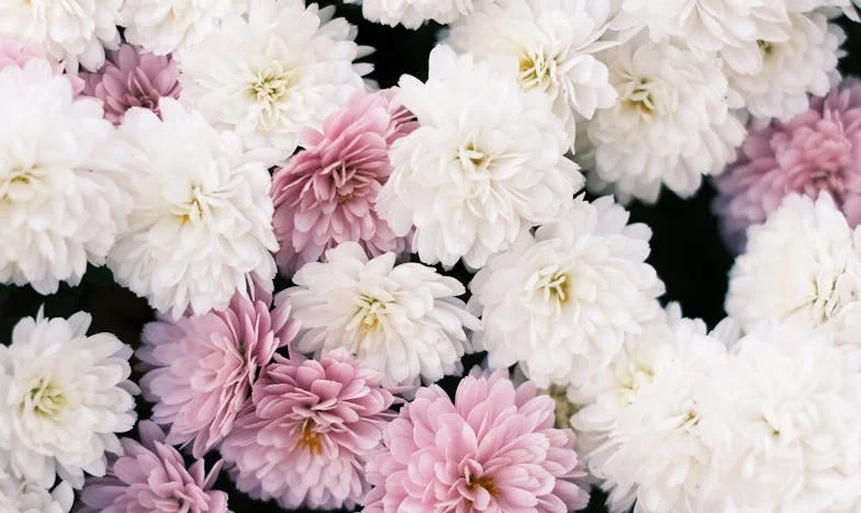 Po latach wyrzeczeń kupiłam mieszkanie. Wtedy wrócił mój były mąż i wszystko się zawaliło...