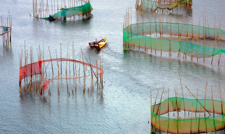 Portfel mojego męża, mój więzienie: Moja walka o wolność w zamrożonym małżeństwie