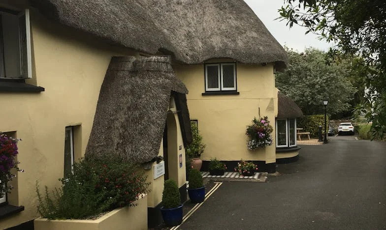 Przygarnęłam mamę – teraz żałuję. Wstydzę się przed znajomymi, a nie mogę jej odesłać