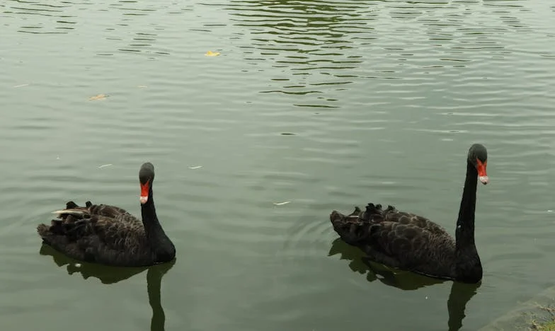 U progu zmierzchu: nowe życie – Historia Elżbiety z Nowego Sącza