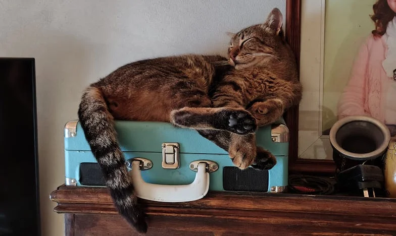 Weekend z teściami: Czy jestem tylko gospodynią we własnym domu?