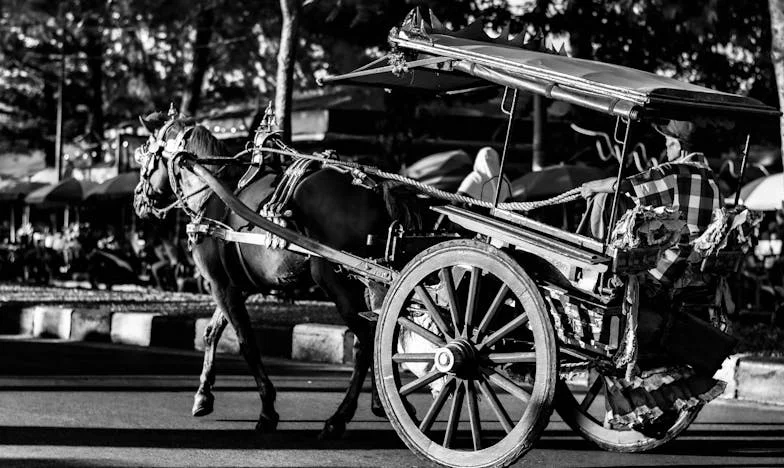 Za zamkniętymi drzwiami: Historia o tym, jak łatwo można się zgubić w pozorach szczęścia