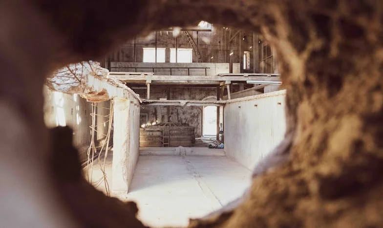 Zamężna za fortuną: Historia, która nie miała prawa się wydarzyć