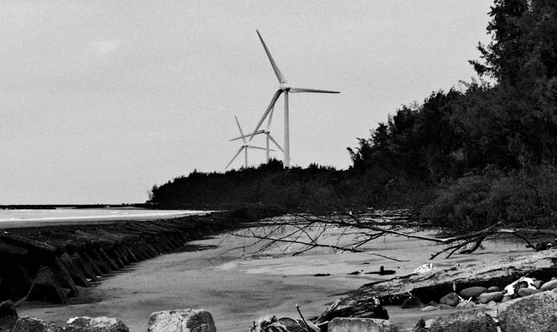 Zanim zgasną światła – historia o miłości, zdradzie i sile przebaczenia w polskiej rodzinie