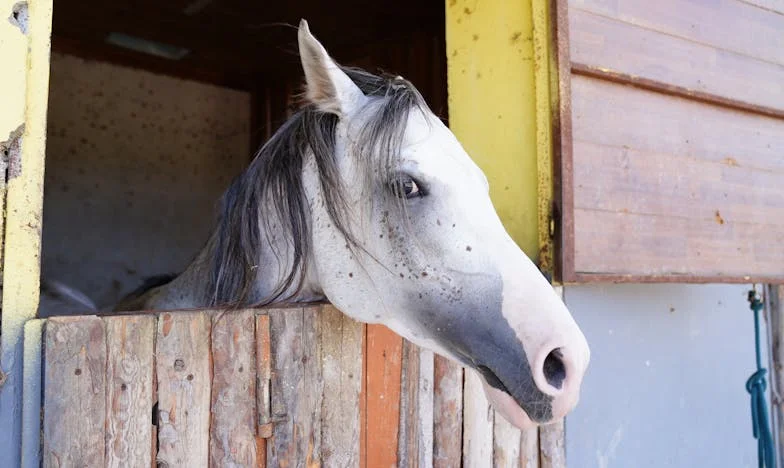 Zawsze byłam tylko „ciocią od mieszkania”. Historia o tym, jak rodzina potrafi zranić najmocniej