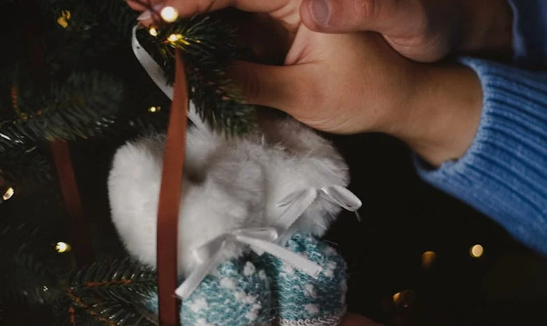 Złamane zaufanie: Jak zdrada i kradzież rozbiły moją rodzinę