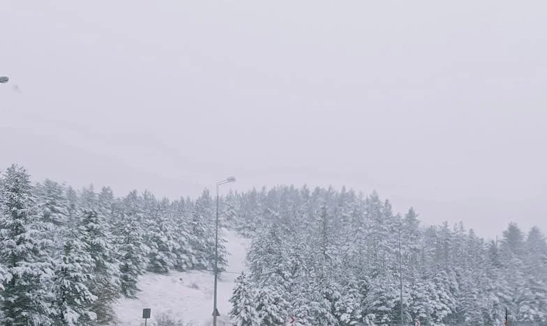 Miłość po stracie: Gdy szczęście zderza się z rzeczywistością