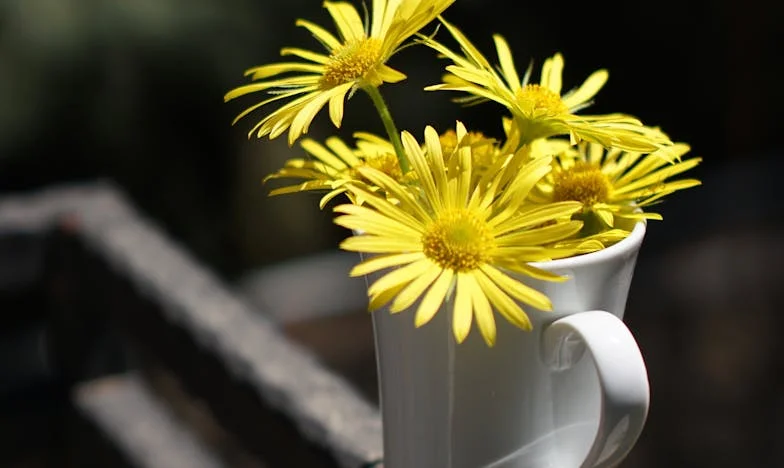 Mój mąż, skąpiec: Czy można kochać kogoś, kto liczy każdy grosz?