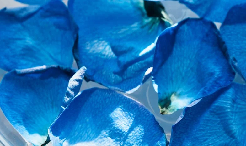 "Myślałam, że pomagam córce, a stałam się tylko jej opiekunką, kucharką i portfelem" – Wyznania polskiej emerytki