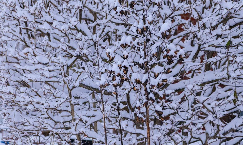 Po latach ciszy dostałam wiadomość, która rozdarła stare rany. Czy odważę się odpowiedzieć?