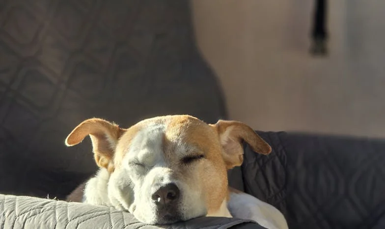 Podwójne życie mojego męża: Co odkryłam, gdy zaczęłam go śledzić?