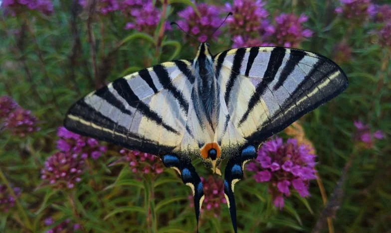 Wyrzucony z domu ojciec znajduje ciepło w najmniej oczekiwanym momencie