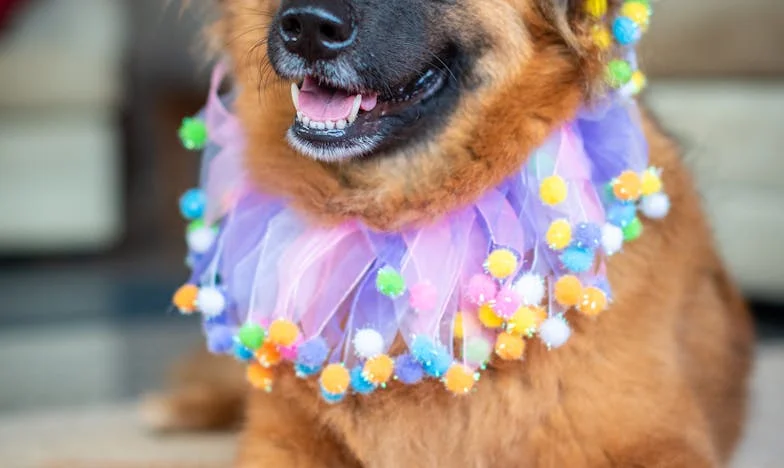 Ale kto mógłby to przewidzieć… Historia z polskiego pola