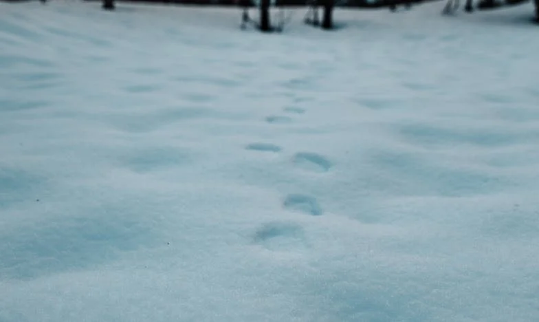 „Czas odłożyć dziecięce rzeczy” – jak te słowa mojej teściowej zmieniły moje życie