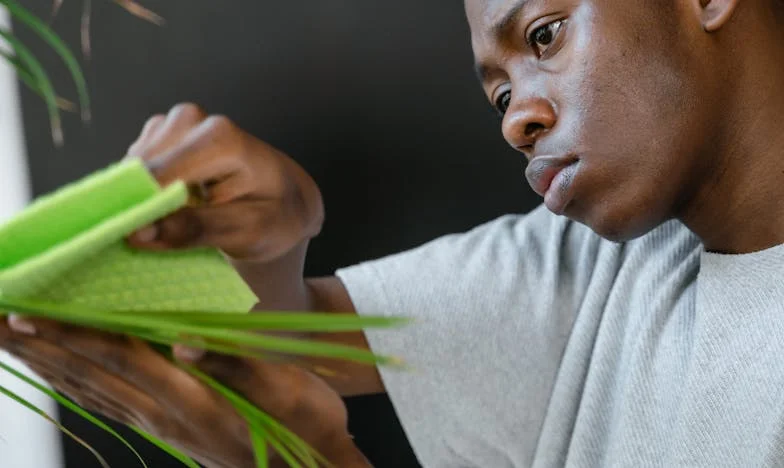 Gdzie mieszka serce: Opowieść o powrocie do domu, rodzinnych konfliktach i walce o korzenie