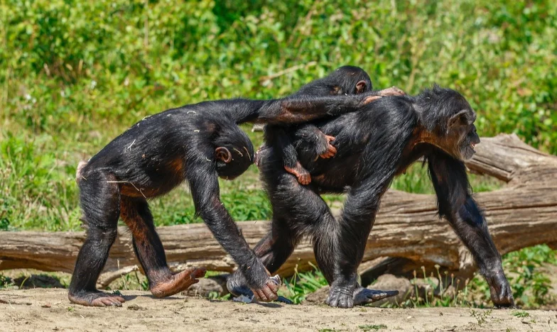 Kiedy goście nie chcą wyjść: Wielkanoc, która podzieliła naszą rodzinę
