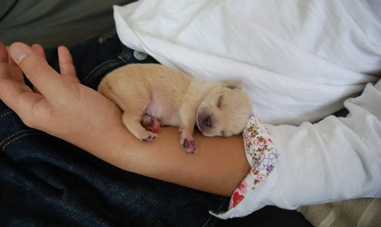 „Mamo, to dla ciebie” — a ja zrozumiałam, że właśnie mnie zostawiają