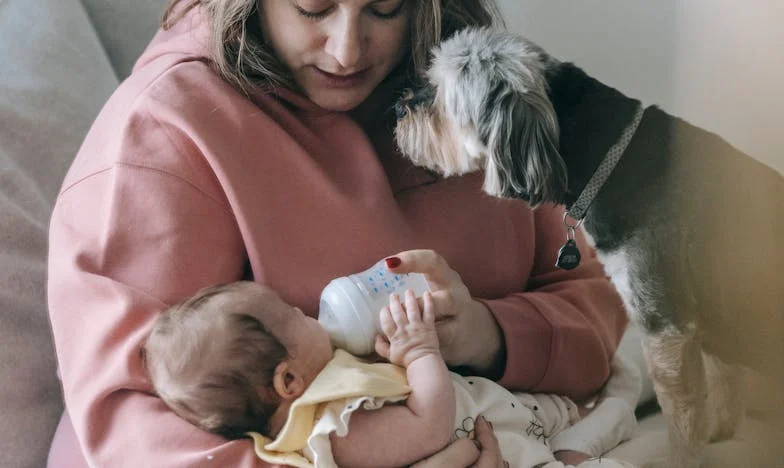 Na granicy wytrzymałości: Szukając domu opieki dla mojej mamy