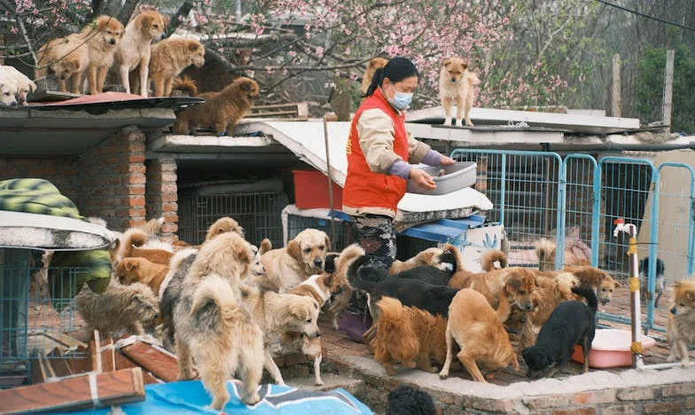 O siódmej rano teściowa stanęła pod moimi drzwiami. Z bratem Krzysztofa. I z walizką.