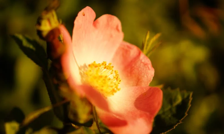 Osiem miesięcy oddaję im połowę pensji. Dziś usłyszałem, że i tak robię za mało.