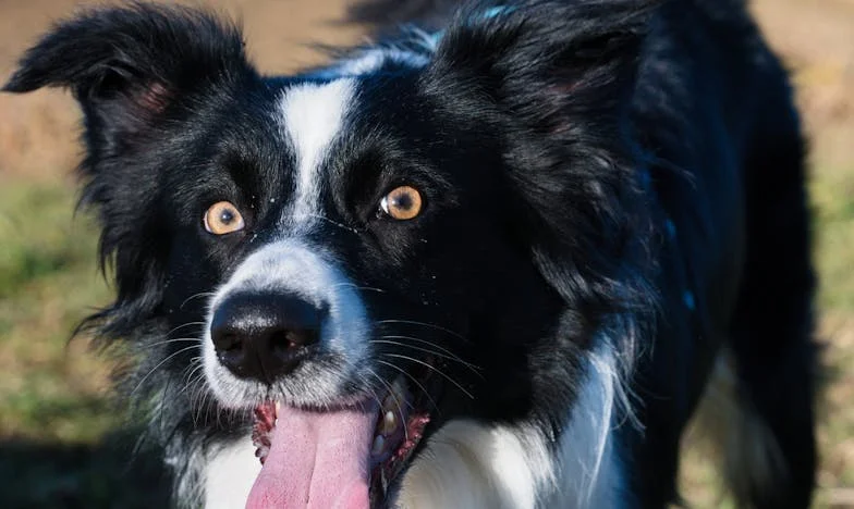 Pociąg do Warszawy: Historia nieoczekiwanego macierzyństwa