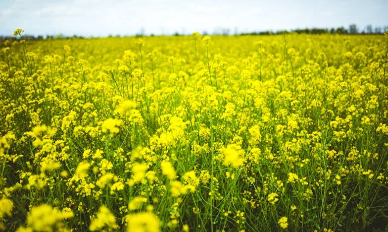 Pod teretom greha: Dwie małe dłonie na moim progu