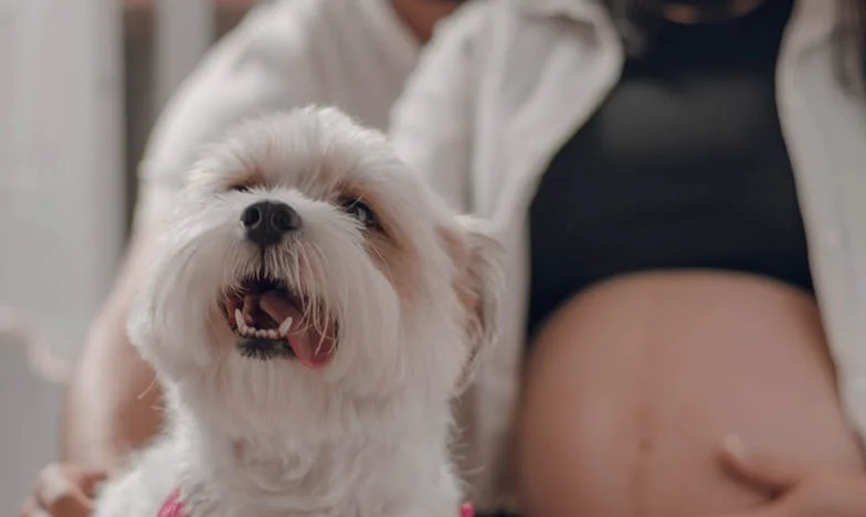 Przebudzenie przy Cappuccino: Moje Życie w Małomiasteczkowej Kawiarni