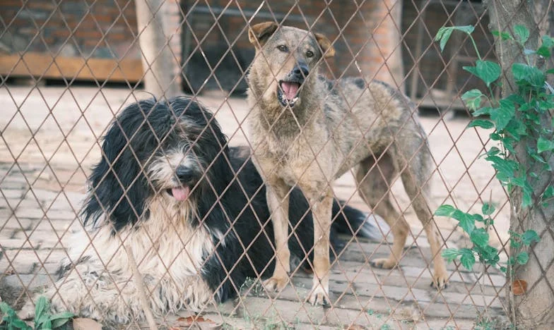 Sąsiadka, która nigdy nie miała dość: nauczyłam się mówić „nie” wbrew presji
