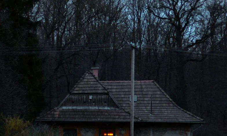 Echa Niewypowiedzianej Miłości: Opowieść o Zaniedbaniu i Samotności