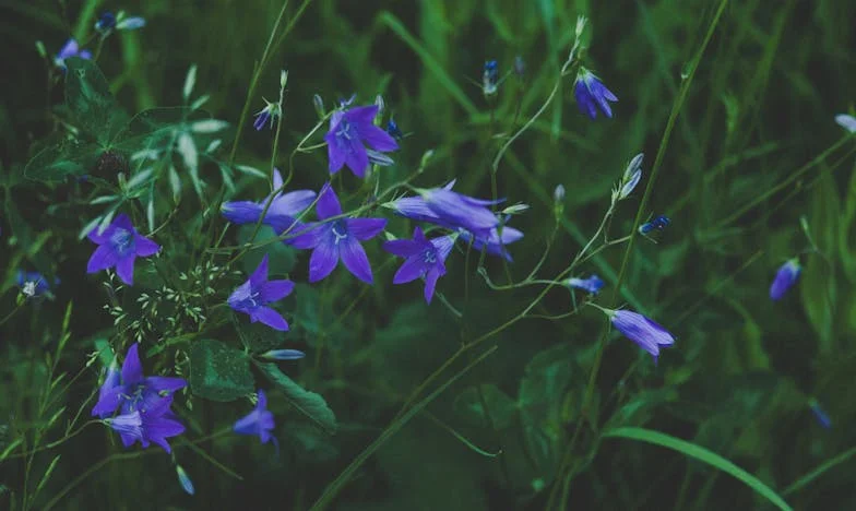 Między winą a tęsknotą: Moje życie w cieniu rodziny