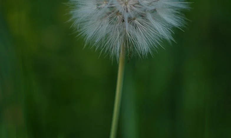 Nowe życie po 33 latach małżeństwa: jak odzyskałam wolność po 55. urodzinach