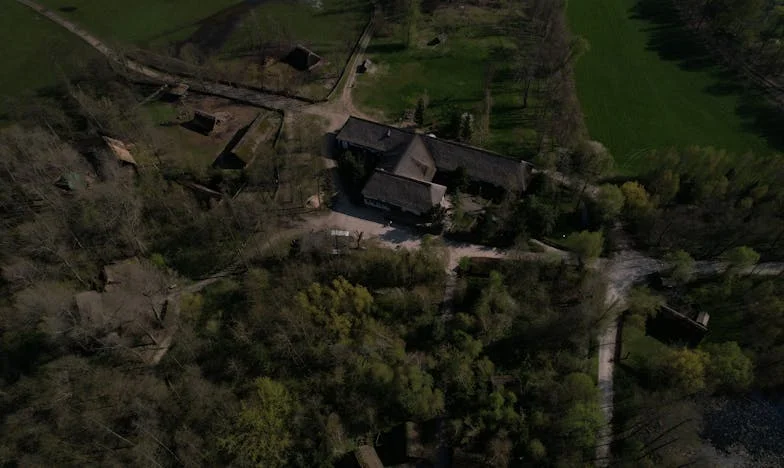 Pies, który już się poddał — i kobieta, która nie potrafiła odejść