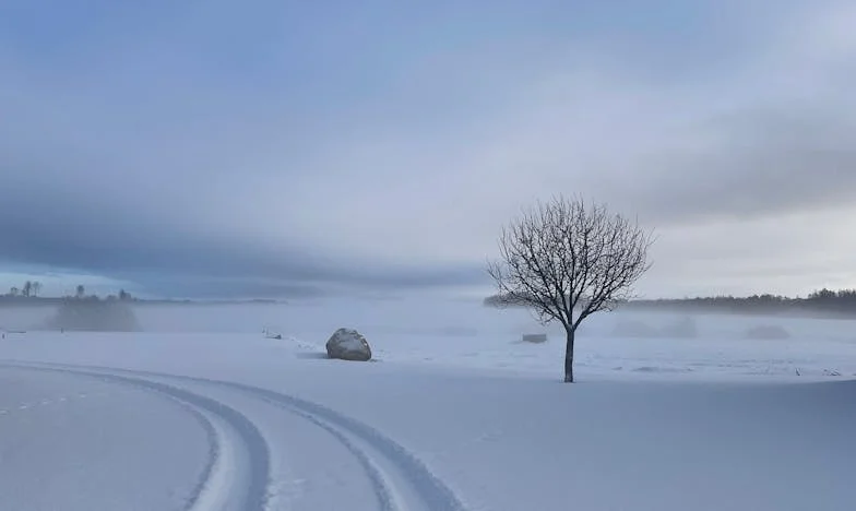 „Piotrze, wyjechałam do Gdańska. Dzieci są u mamy. Proszę, wybacz mi i spróbuj zrozumieć.” – Wyznanie wyczerpanej matki