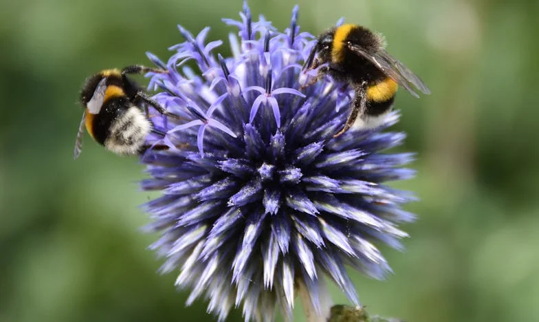 Pomóżcie! Mój syn nie chce ze mną rozmawiać – jak odzyskać jego zaufanie?