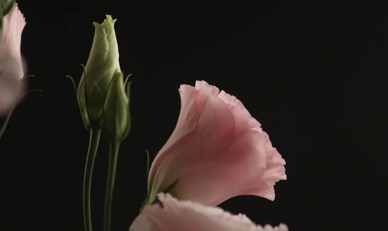 „Radź sobie sama, Klaudio” — kiedy „wsparcie” rodziców boli najbardziej