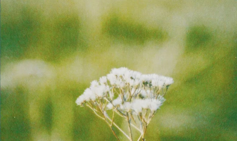 Wyrzucili mnie z własnego domu. Zamarzałem na ławce pod Olsztynem, gdy czyjaś dłoń dotknęła mojej twarzy